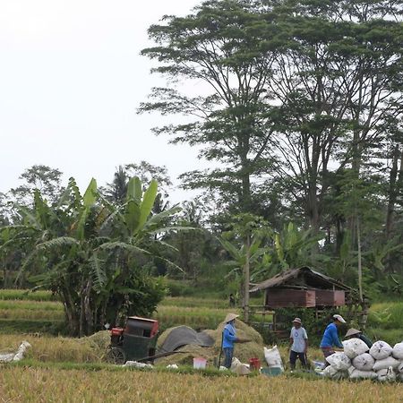 Pondok Gepokan Homestay Убуд Экстерьер фото
